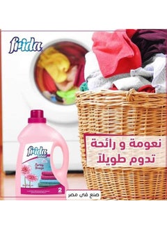 Frida Spring Breeze Fabric Softener 4 L - pzsku/Z4A8F3B8C0F5DCCE7C61FZ/45/_/1721650264/38fcd63d-82a0-4100-8e4f-bb6441ac6e58