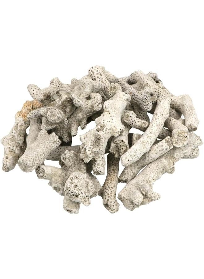 Coral Zhiyang  Coral 500g Box - Image 3