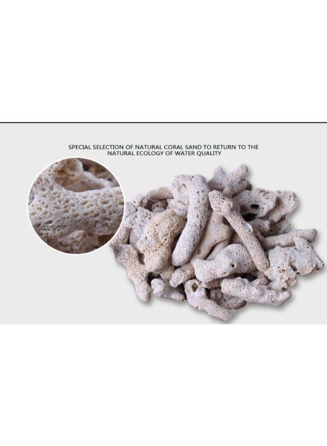 Coral Zhiyang  Coral 500g Box - Image 2