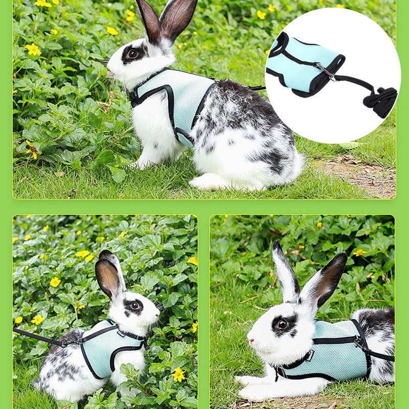 1Pc Small Pet Traction Rope Vest Pulling Rope Traction Rope - Image 1