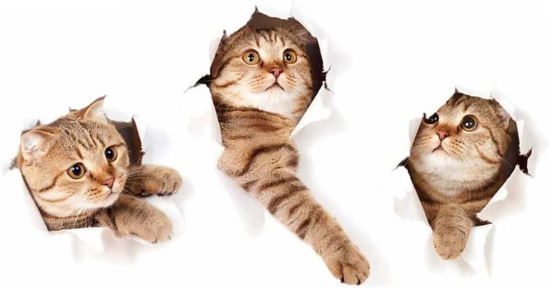 klarako 6 pcs Decorative Reaching Kitten Craft Living Paper Window Sticker Wall Clings Stickers Wallpaper Cat Toilet DIY Animal Decals Chidren for Bathroom D Room Cartoon Nursery Art Cats - Image 5
