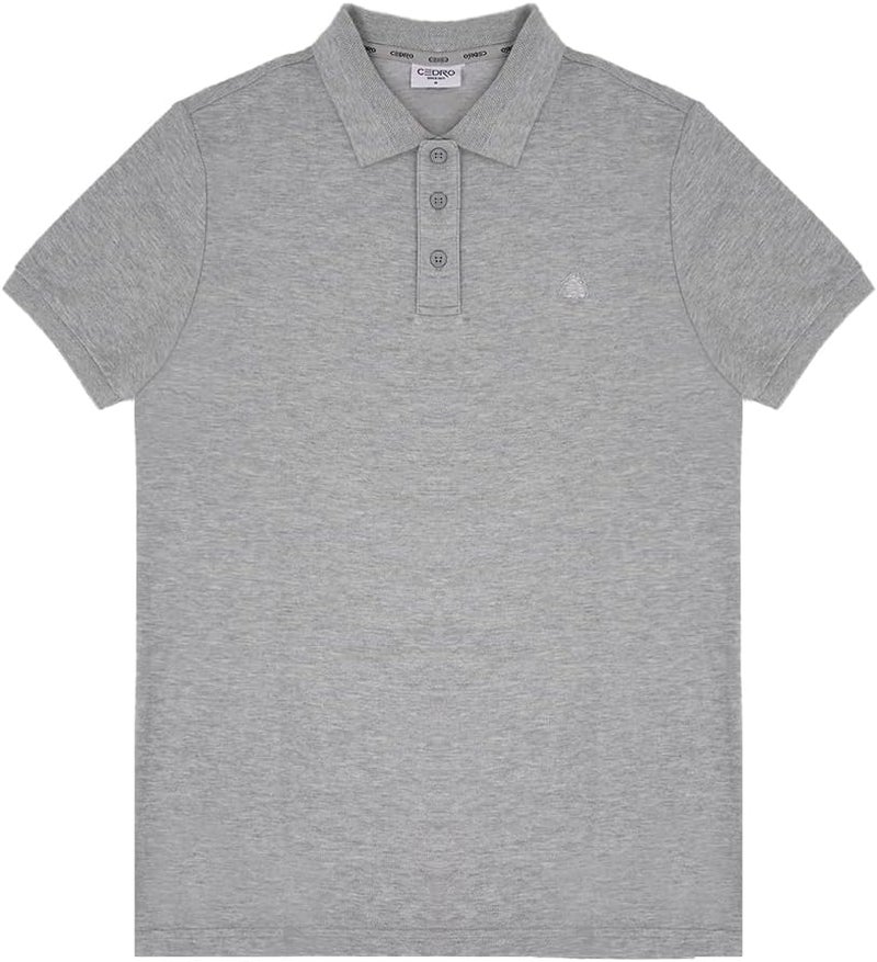 CEDRO تي شيرت بولو كولار عادي للرجال من سيدرو باللون الرمادي - Image 1