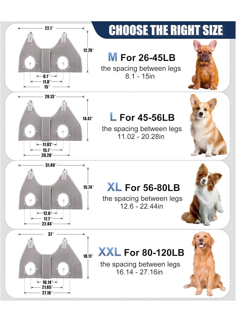 general Pet grooming hammock anti-bite trimming pet nails medium and large dog trimming nails - Image 5