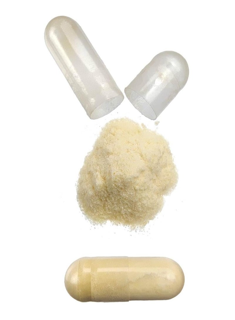 HSN GI Biotics (ferments) 25B CFU - 120 veg caps - Image 4