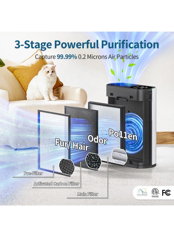 ECOSELF Air Purifier Replacement Filter for ECOSELF HAP602/ HAP602WF Air Purifier, 3-Stage Filter Repacement for High-Efficient Filtration (2 Pack) - Image 3