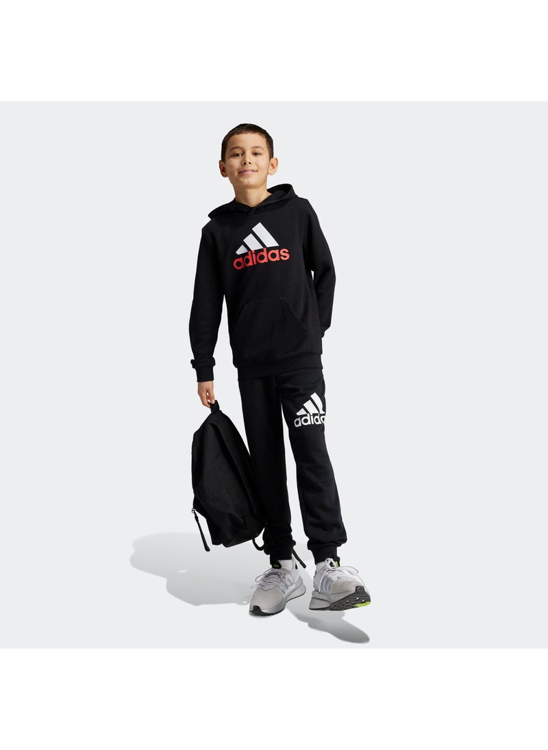 Adidas Youth Big Logo Hoodie  - Image 5
