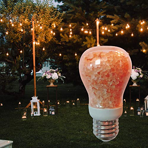 Himalayan Glow 60-Watt Salt Light Bulb - 1 Count, Dimmable, Fits Most Salt Lamps, Warm Ambiance, Room Decor, Home Decor, Energy Efficient, Long Lasting, Relaxation, Gift - Image 3