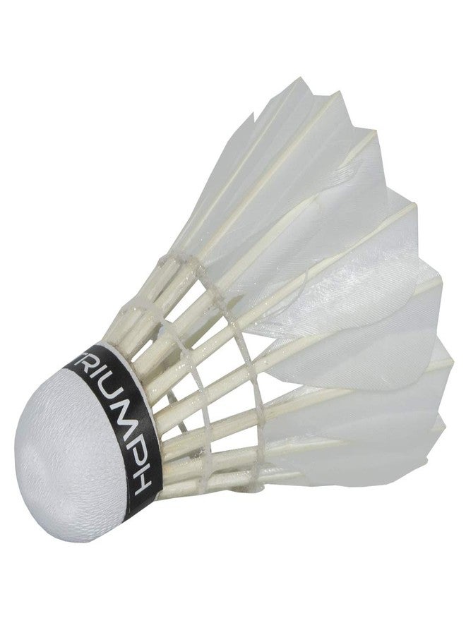 ترايامف مضرب تنس الريشة من تريومف، طقم مضرب تنس الريشة باشون - مضرب تنس ريشة من قطعتين مع 10 كرات ريشة من تريومف تايتان 200i مصنوعة من ريش البط وغطاء كامل للمضرب - Image 5