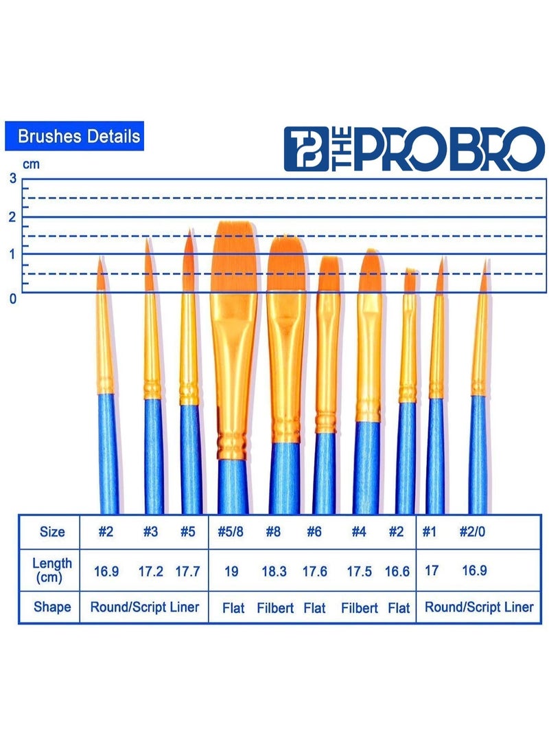 THE PRO BRO Paint Brush Set of 10 – Professional Nylon Hair Artist Brushes for Acrylic, Watercolor & Oil Painting – Blue Handle Art Supplies for Students, Kids & Beginners - Image 3