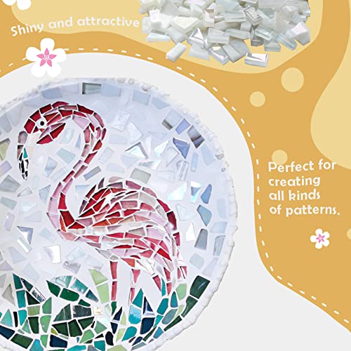LITMIND White Series Irregular Glass Mosaic Tiles for Art Crafts, 9oz Value Pack Mosaic Making Supplies, Mosaic Kits for Adults - Image 3