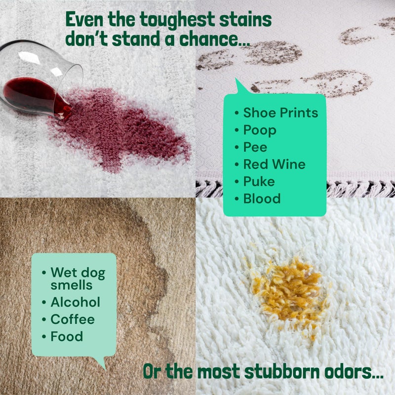 Sunny & Honey Carpet Shampoo & Cleaning Solution - 32 Fl Oz Spring Mint Scent - Pet Carpet Cleaner Machine Solution - Rug & Upholstery Cleaner - Stain Remover & Odor Deodorizer - Image 4