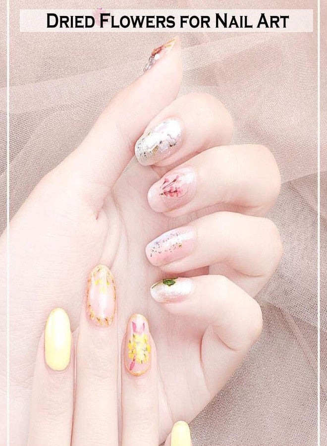 Brille Bee 12 Colors Dried Flowers for Nail Art, Dry Flowers Mini Real Natural Flowers Nail Art Supplies 3D Applique Nail Decoration Sticker Decor - Image 4