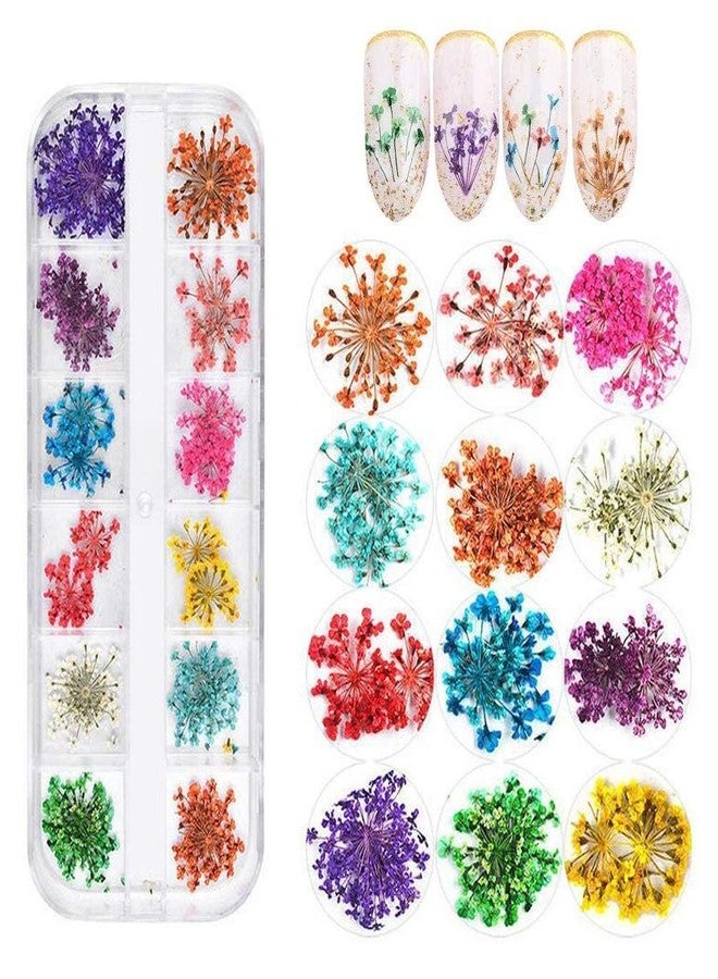 Brille Bee 12 Colors Dried Flowers for Nail Art, Dry Flowers Mini Real Natural Flowers Nail Art Supplies 3D Applique Nail Decoration Sticker Decor - Image 1