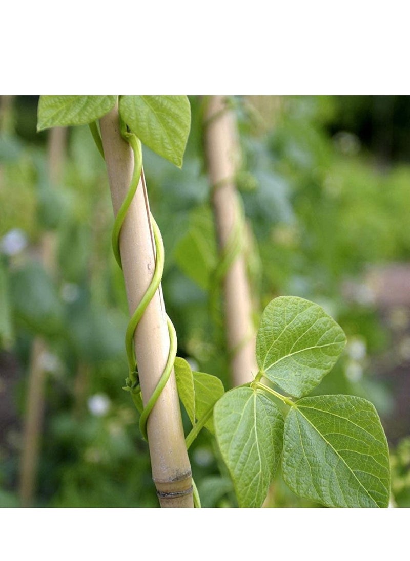 LINGWEI Natural Thick Bamboo Stakes Tall Garden Plant Stakes Flowers Vine Plants Support Garden Canes Poles Stakes Bamboo Rod Support Sticks 10pcs  - Image 2