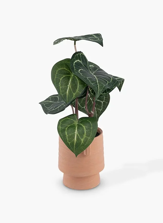 تو إكس إل هوم Artificial Alocasia Plant