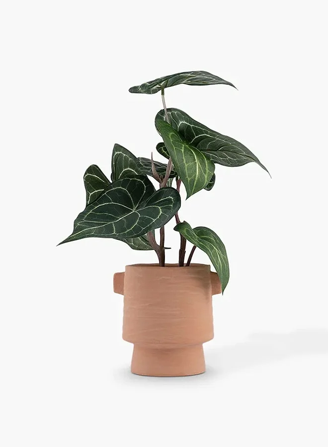 تو إكس إل هوم Artificial Alocasia Plant