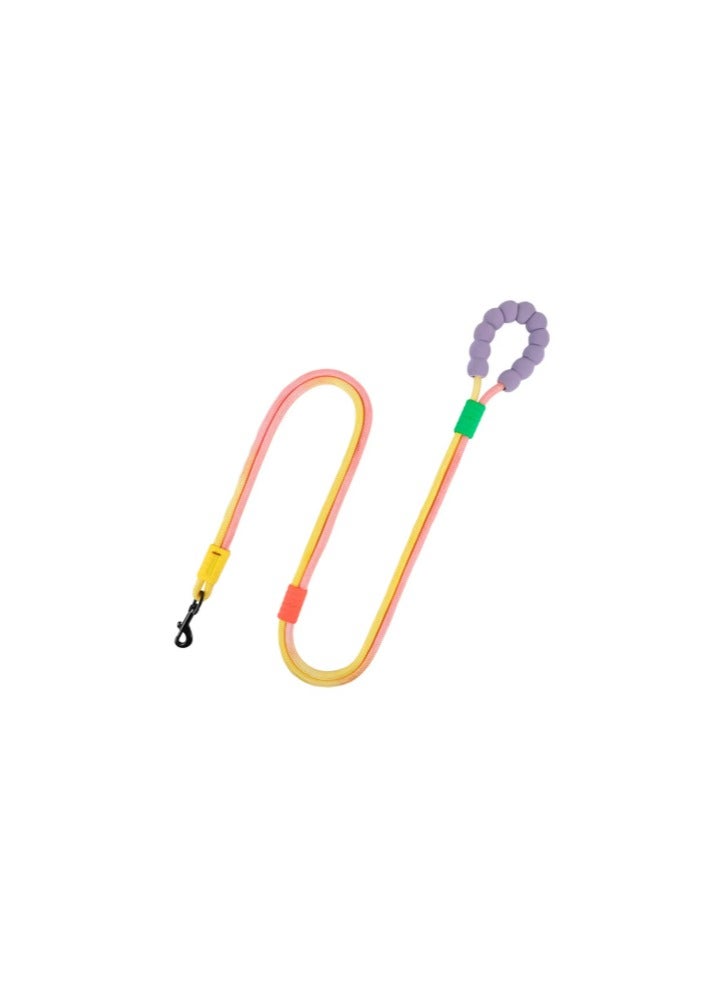 Grey Bubble Leash & harness