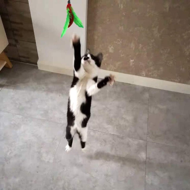 MeiAOBest 11 PCS Cat Feather Toy Set with Bell Refills - Interactive Teaser for Cats - Image 4