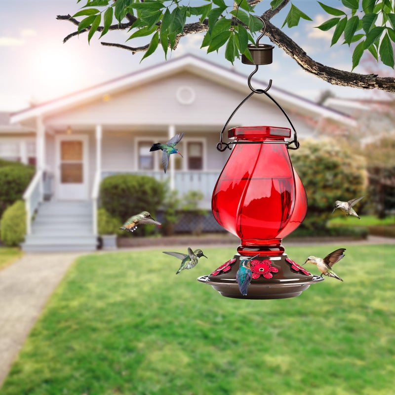 BOLITE Hummingbird Feeder, BOLITE Glass Hummingbird Feeders for Outdoors Hanging, with Ant Moat and Five Feeding Ports, 22 Ounces, Leak Proof, Red, Birthday Gifts for Women Men, Gifts for Mom Dad - Image 2
