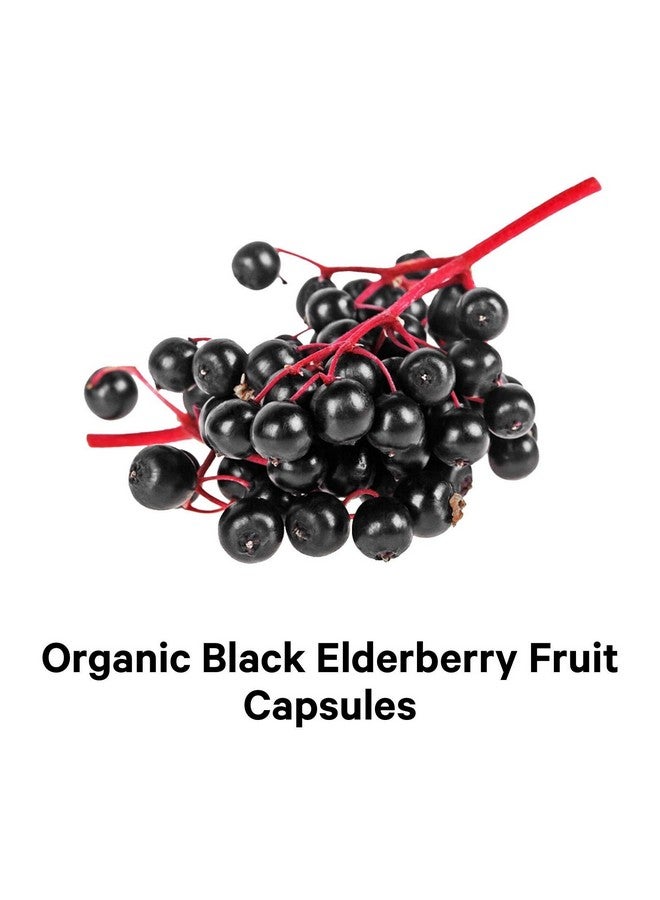 Codeage Organic Black Elderberry Supplement Vitamin C D Zinc Fermented Black Elderberries Vitamins Elderberry Fruit Extract Pills Concentrate Sambucus Berries Flavonoid Vegan 90 Capsules - Image 5