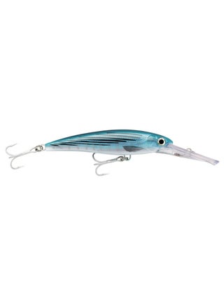 Blue Bonito