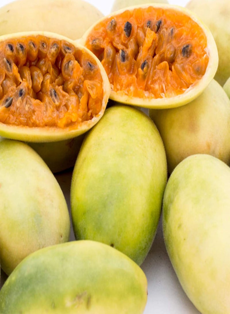 جي جوت 20 قطعة/كيس من بذور الموز والباشن فروت، نباتات طبيعية سهلة الزراعة في المناخ الاستوائي، بذور بونساي للحديقة والشرفة، الموز والباشن فروت - Image 3