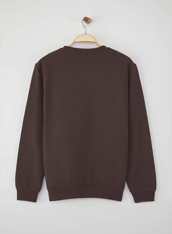 trendyol Brown Regular/Normal Cut Inside Fleece/Warm Sweatshirt - Image 4