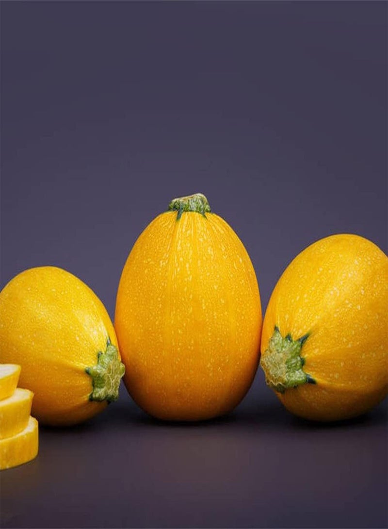 جي جوت 50 قطعة من بذور الكوسة، خضراوات صفراء جذابة كروية الشكل مزروعة في حديقة خارجية، ديكور فريد من نوعه للحدائق - Image 2