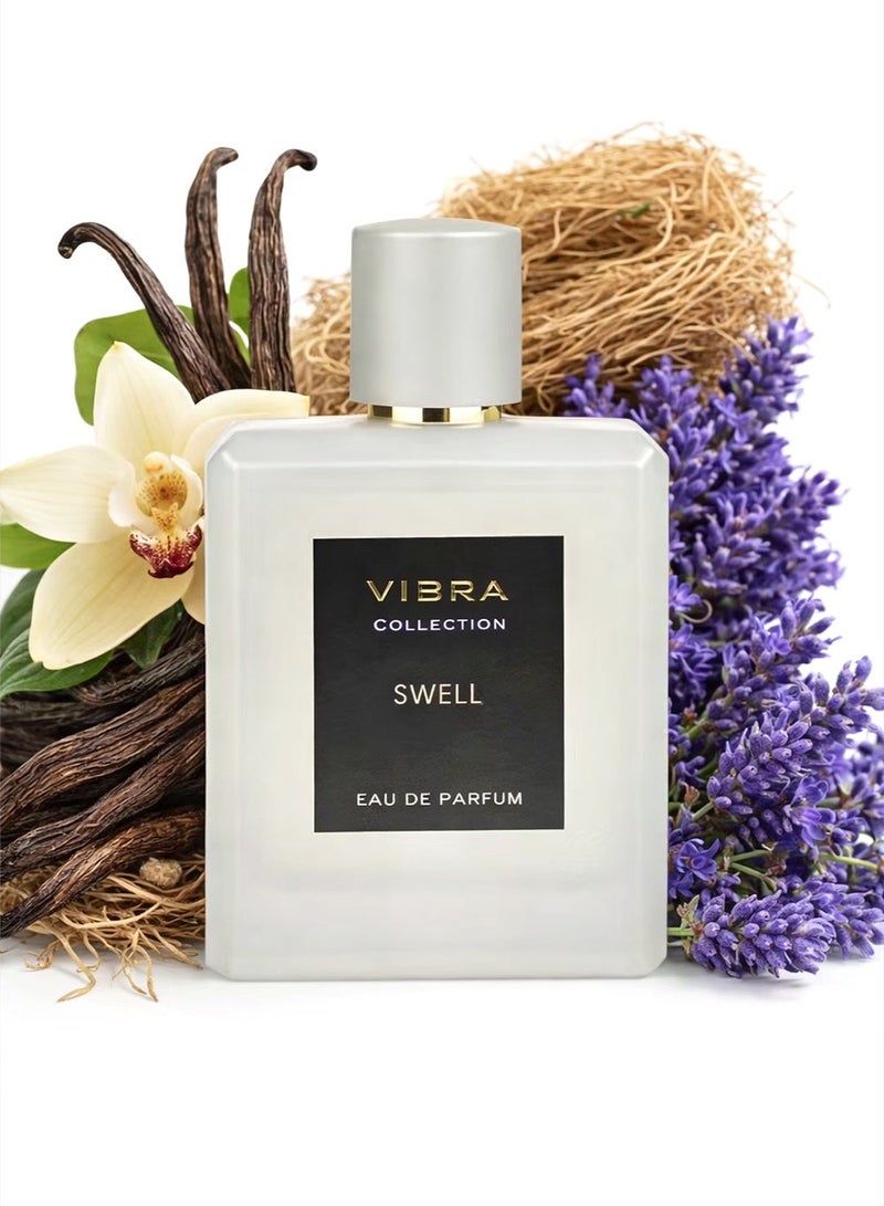 DIVINA Vibra Swell Eau De Parfum 100ml for Men – Fresh Woody Aromatic Fragrance with Vanilla, Lavender & Vetiver | Long-Lasting Premium Perfume - Image 1