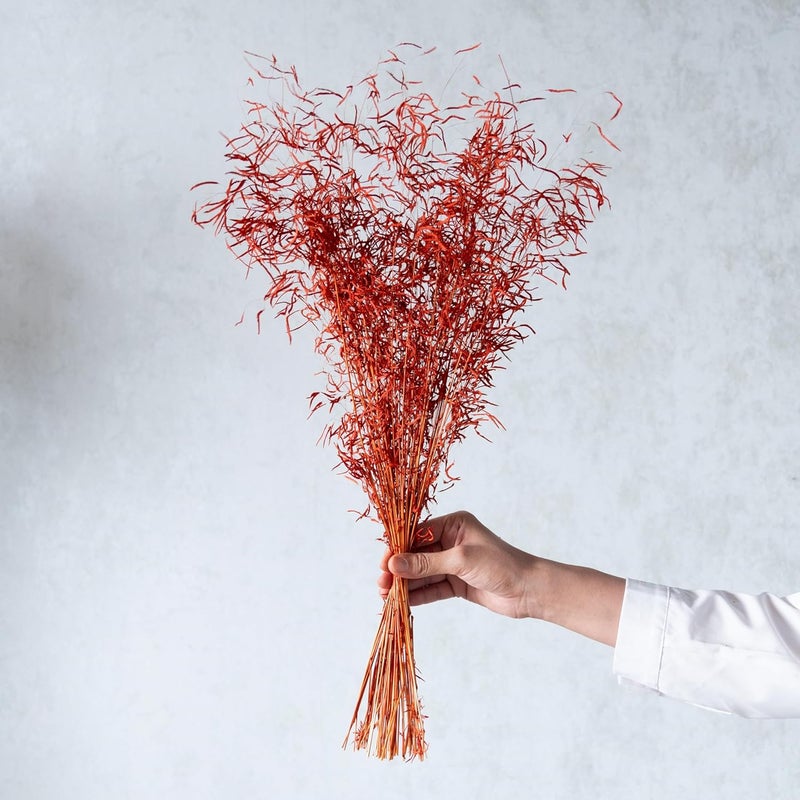 Flowers and Fillers Orange Tiger Grass 100 Grams Natural Dried Flower EcoFriendly Flowers for Home Office Bedroom Table Decoration and Craft Items Corner Without Vase Pot