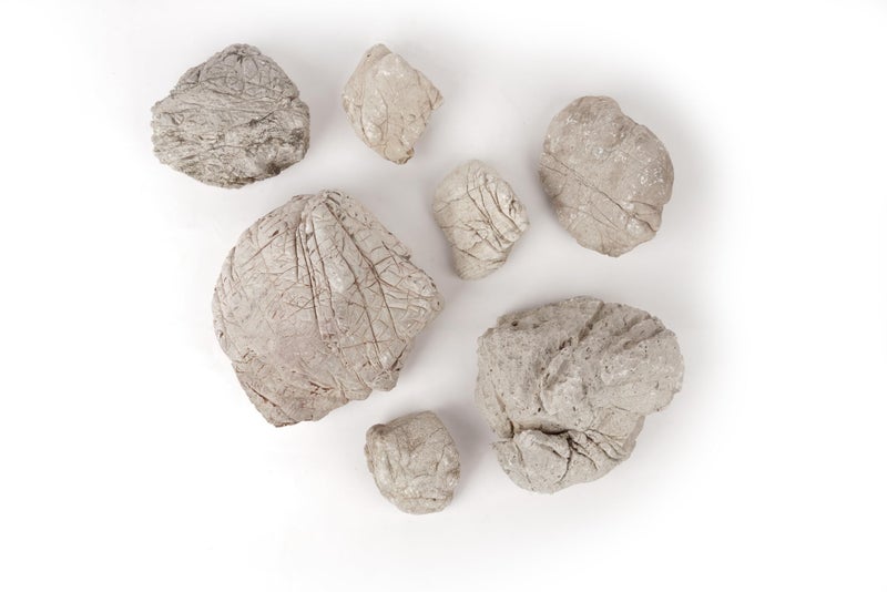 LANDEN Elephant Skin Stone Natural Multi-Texture Rocks Grey(18lbs, 3~9 inches,7pcs) for Aquarium, Paludarium, Terrariums, Landscaping, Decorative of Caves, Waterfalls, Cliffs - Image 1