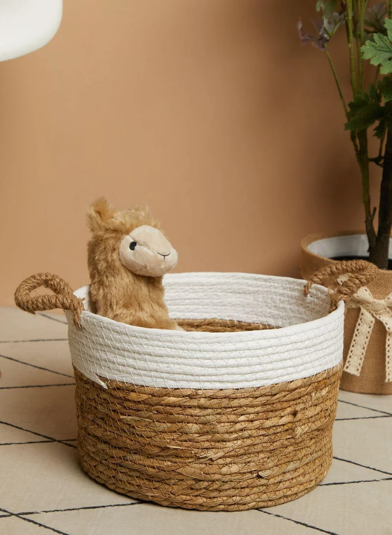 Ayra Najma Medium Pet Storage Basket