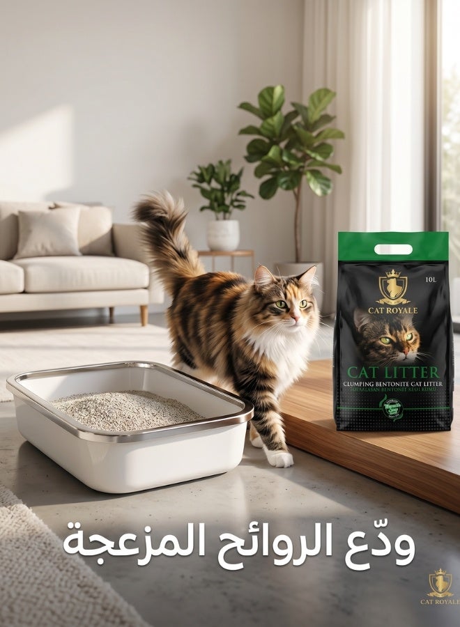 Cat Royale Clumping Cat Litter with Marseille Soap Scent | 5L for Easy Cleaning & Lasting Freshness - Image 3