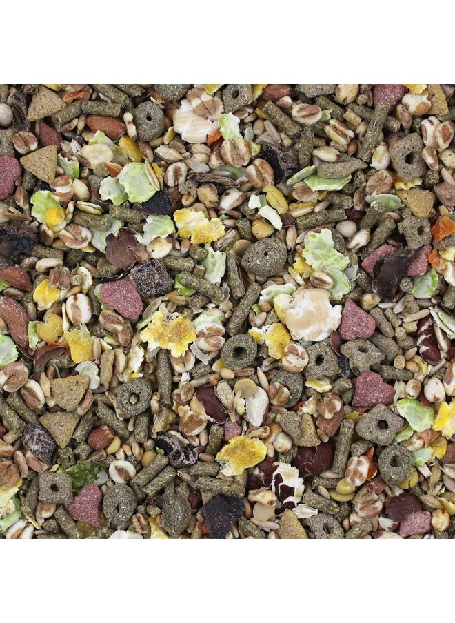 Vitakraft - Vitakraft Vita Smart Rat and Mouse Food - Complete Nutrition - Premium Fortified Blend with Ancient Grains for Rats, Mice, and Gerbils - Image 1