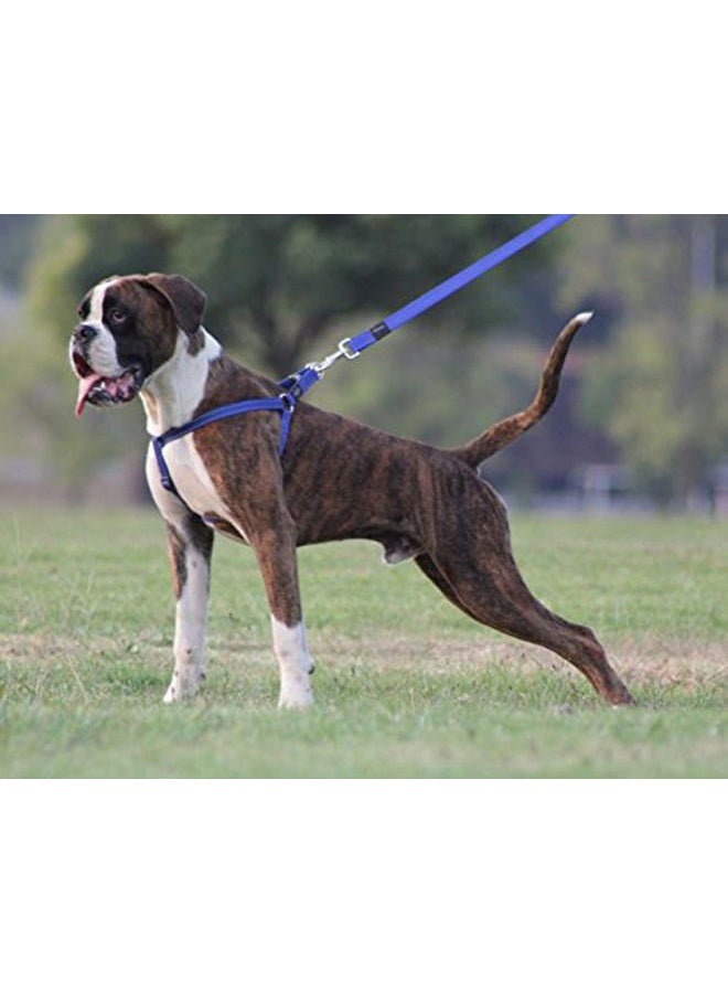 Rogz Reflective Adjustable Dog Step in Harness for Large Dogs; matching collar and leash available, Turquoise - Image 2