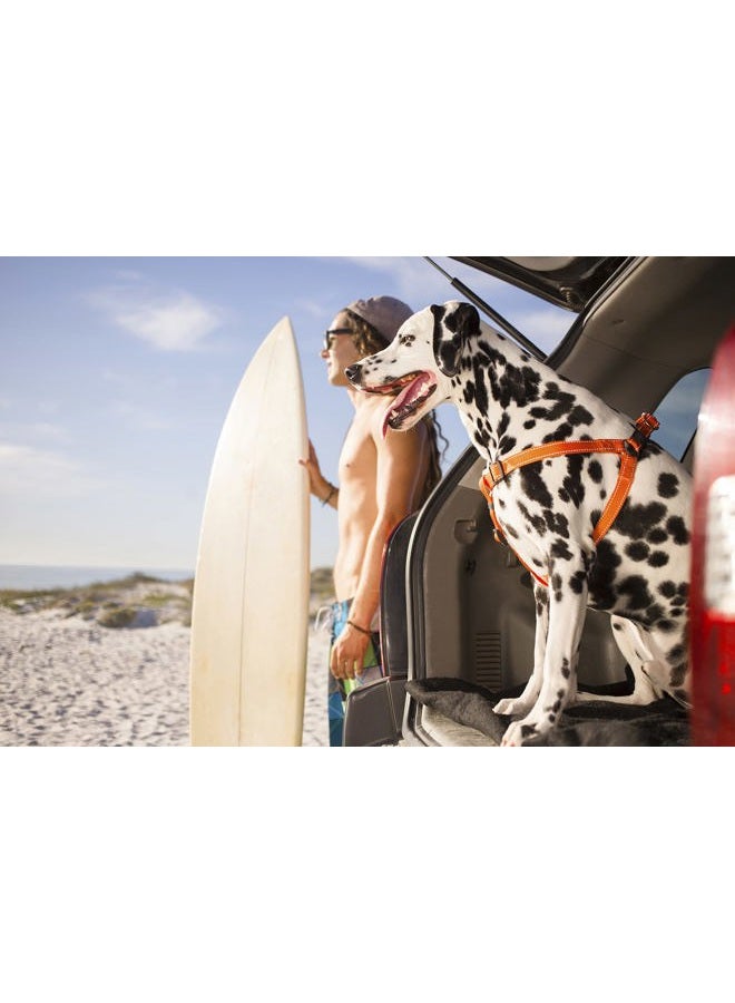 Rogz Reflective Adjustable Dog Step in Harness for Large Dogs; matching collar and leash available, Turquoise - Image 4