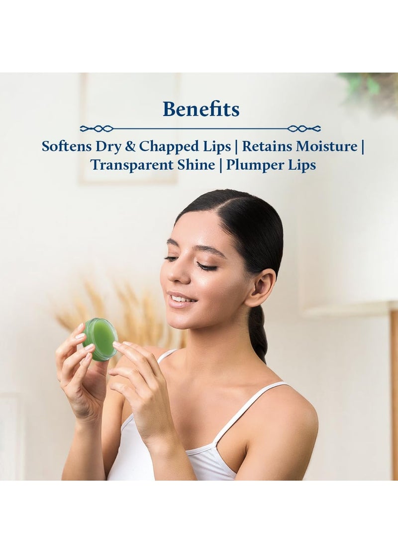 Blue Nectar Shubhr Green Apple Lip Balm & Gloss With Ghee & Natural Vitamin C for Dry Chapped Lips with intense moisturization |100% Ayurvedic|Paraben & Sulphate Free| (10g, 10 Herbs) - Image 3