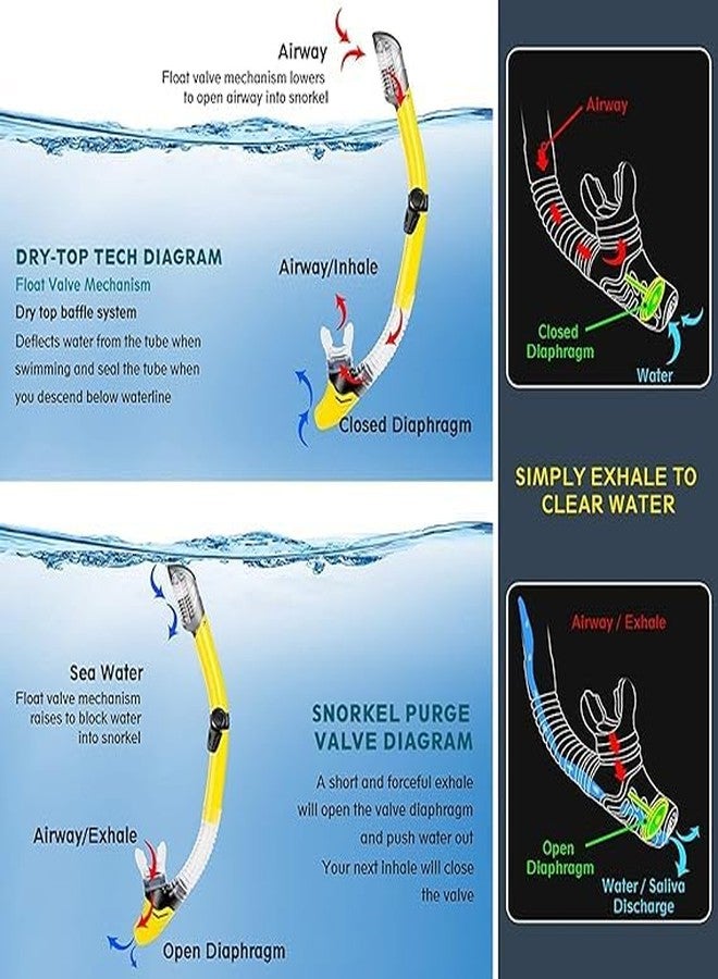 Olpad طقم غطس أولباد للبالغين، يتضمن قناع غطس، أنبوب غطس قابل للطي، وزعانف غطس/سباحة قابلة للتعديل، وحقيبة حمل. - Image 5