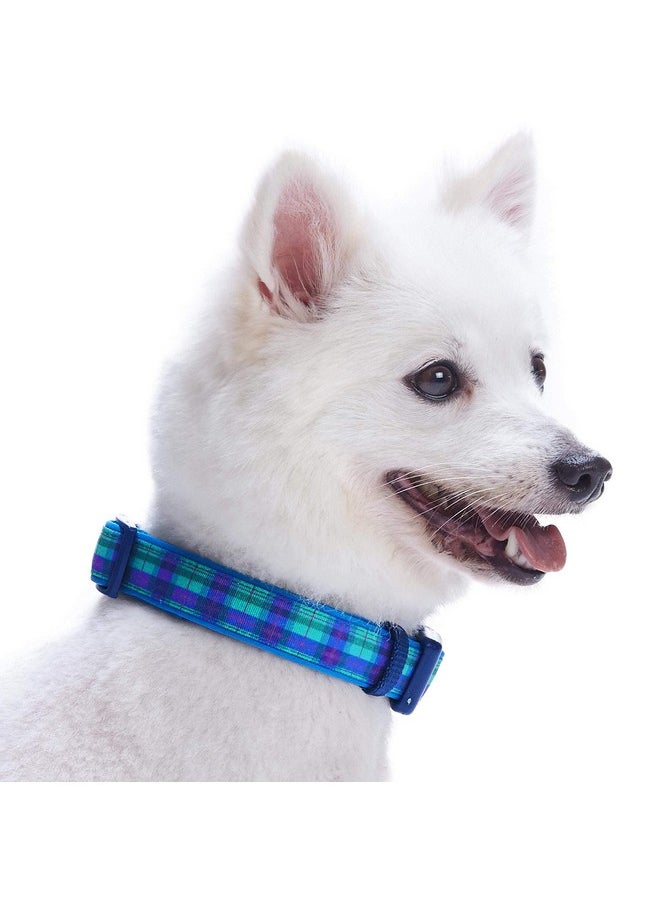 Blueberry Pet Blueberry Pet 7 Patterns Soft & Comfy Scottish Hudson Blue Plaid Tartan Style Designer Padded Adjustable Dog Collar, Medium, Neck 14.5"-20"  - Image 3