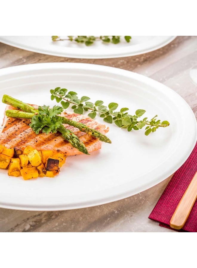 Restaurantware أطباق بلب تيك 12.5 × 10 بوصة صديقة للبيئة، 100 طبق عشاء كبير قابل للتصرف - مصنوع من ألياف قصب السكر الطبيعية، ثقيل، أطباق باجاس بيضاء متميزة، متينة، بيضاوية - Image 3