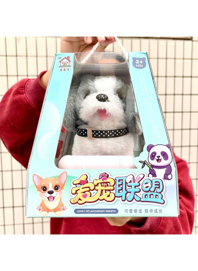 Children's Electric Simulation Plush Pet Teddy White Rabbit Can Walk And Call Electric Toy Gift Box Institution Gift-Color:065b Cute Pets Bichon Frize Style  - Image 5