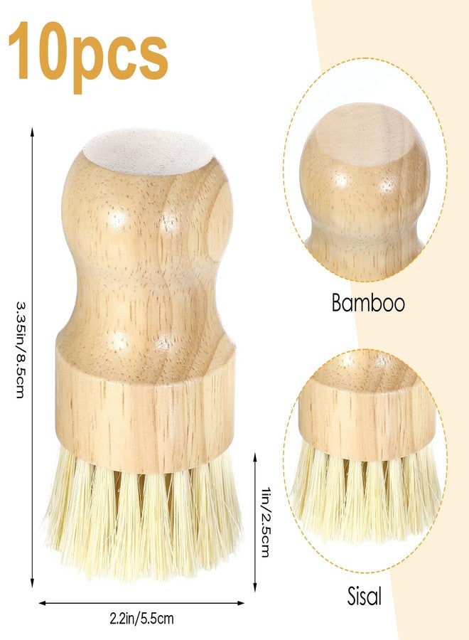 Molain 10 Pack Bamboo Dish Brush Set, Natural Dish Scrub Brush with Handle, Wooden Dish Scrubber for Kitchen Cleaning, Eco-Friendly Scrub Brush for Dishes, Pots, Pans, and Vegetables - Image 2