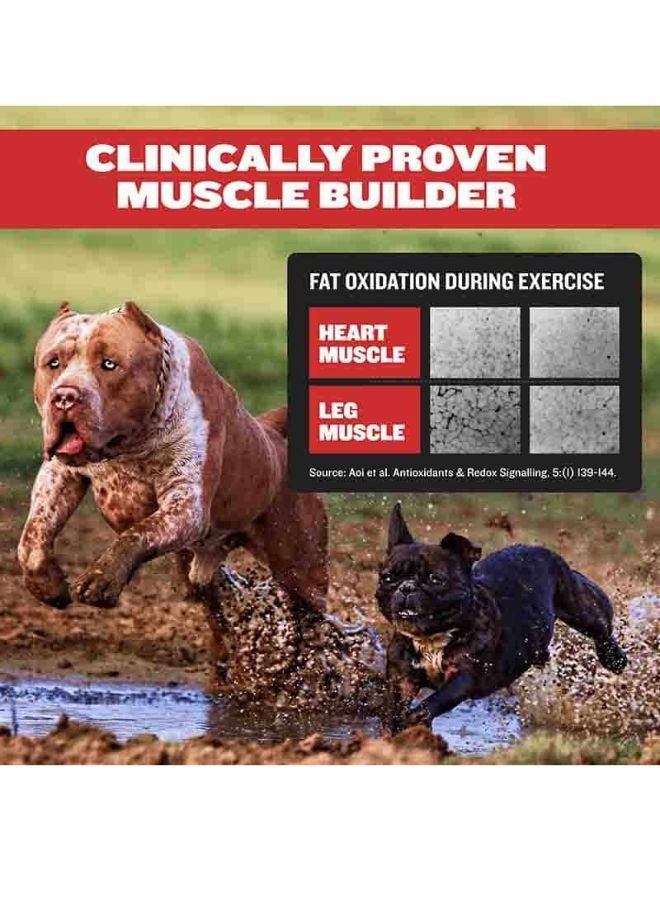 BULLY MAX 3 in 1 Liquid Muscle Gain Supplement 473 g - Image 4