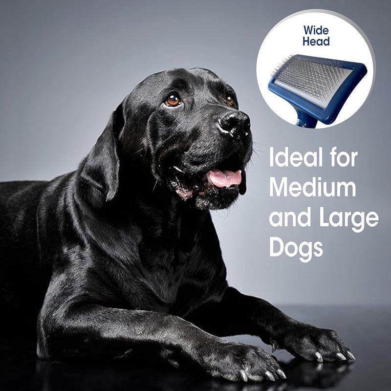 Four Paws Magic Coat Medium Dog Grooming Slicker Brush - Image 5