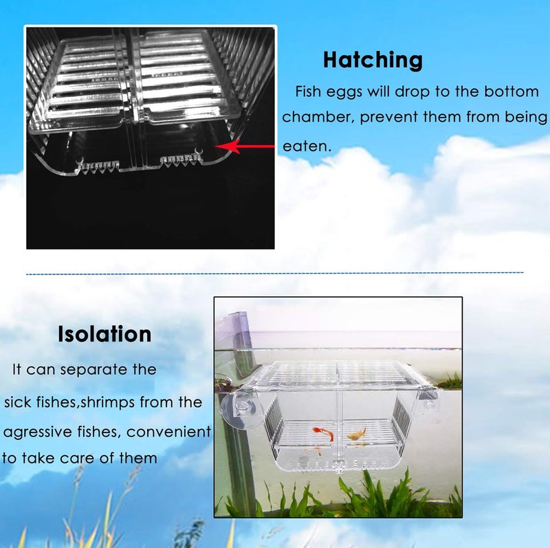 capetsma Cepetsma Fish Breeder Box - Hang-on Nursery Fish Tank With Breeding Hatchery, Perf for Aggressive & Injured Species - Image 3