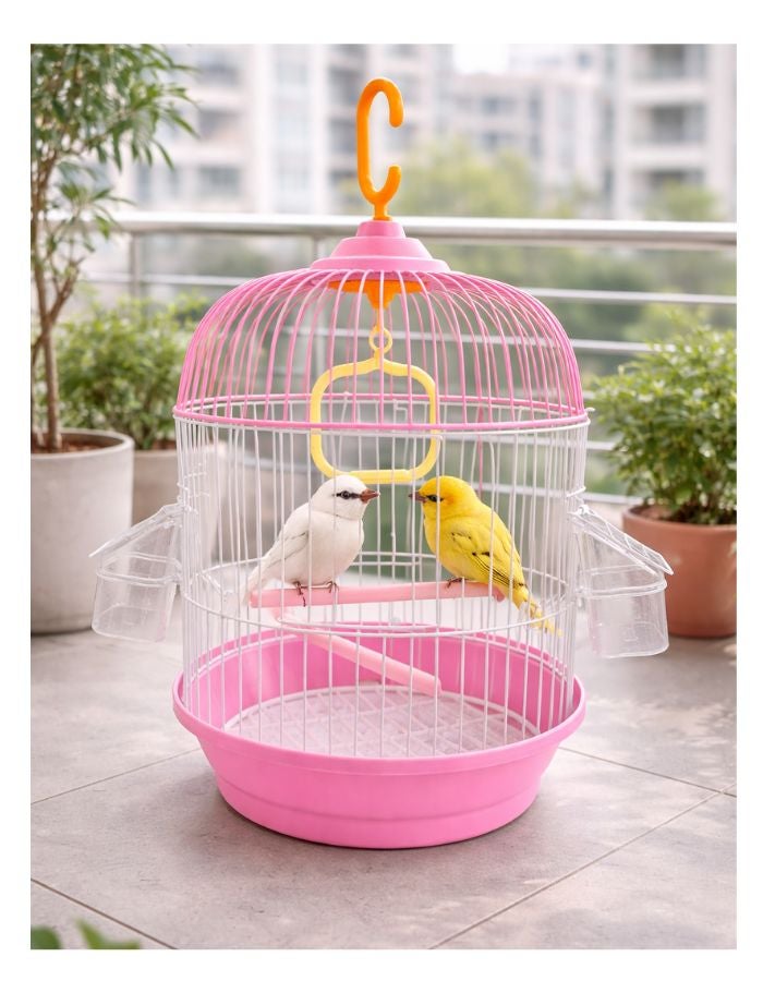 Petto Premium Round Hanging Bird Cage with Perch & Feeders – 23 × 40 cm - Image 2