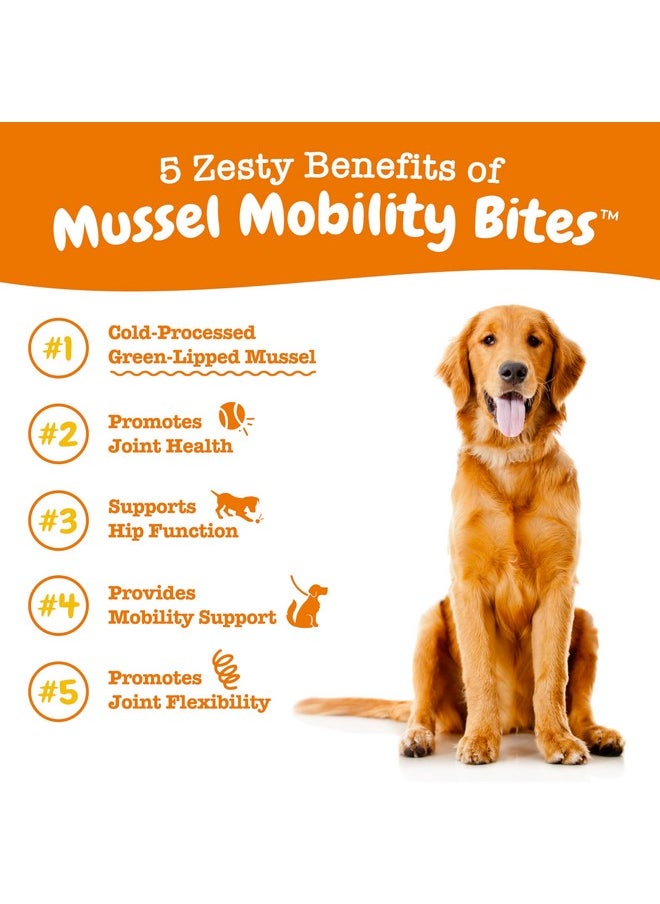 Zesty Paws - Mussel Mobility Bites For Dogs  New Zealand Green Lipped Mussel With Natural Glucosamine & Chondroitin + Omega3 Fatty Acids  Hip & Joint Support Supplement Soft Chews  90 Count - Image 1