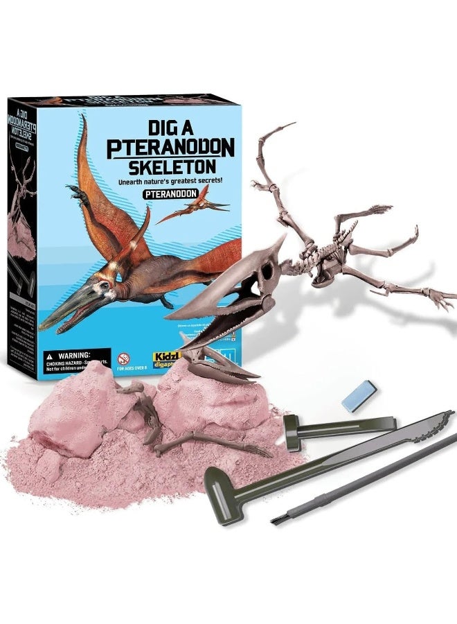 4M KidzLabs Pteranodon Skeleton Excavation Kit – Dig & Assemble a Flying Dinosaur Fossil Model | STEM Paleontology Toy for Kids Ages 8+ / 00-03459 - Image 2