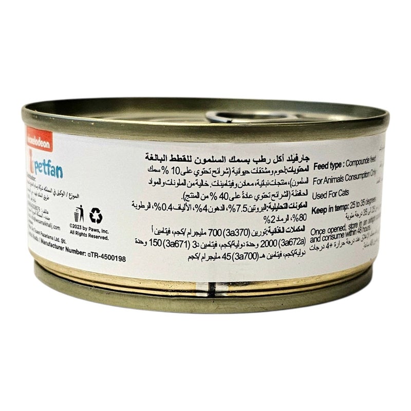 Garfield | Wet Food for Adult Cats with Salmon Flavor 100 g × 12 Pcs| Complete High Protein Nutrition with Omega Fatty Acids | Supports Skin Coat and Digestive Health | Soft Moist Texture. - Image 4