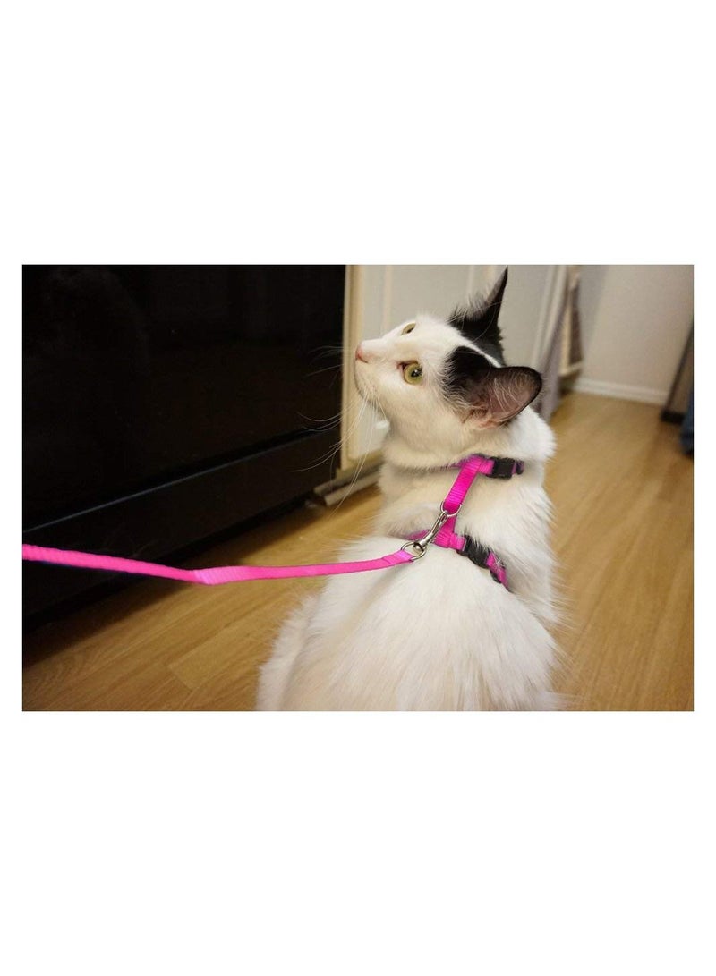 Y&D Cat Traction Rope Walking Anti-Breaking Special Chain - Image 3